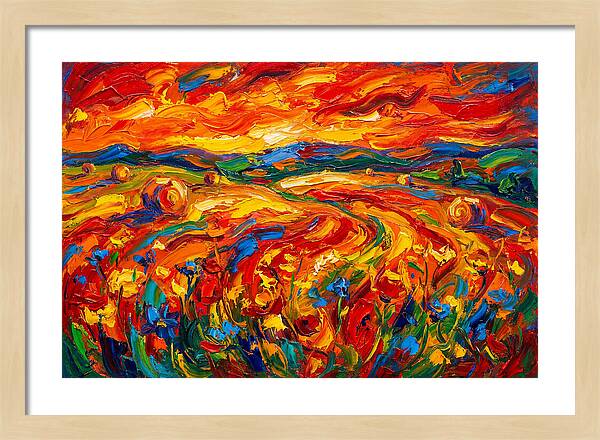 Summer Field Vibrance