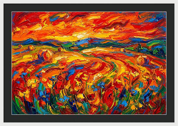 Summer Field Vibrance