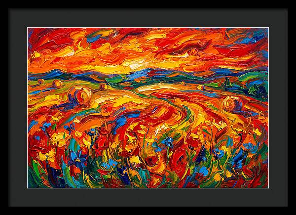 Summer Field Vibrance