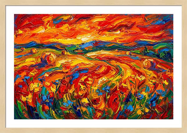Summer Field Vibrance
