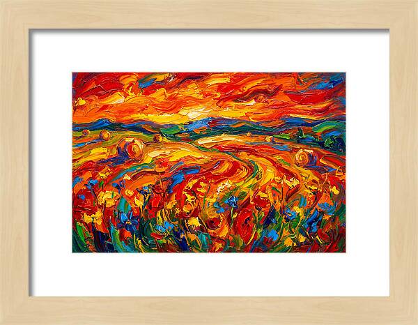 Summer Field Vibrance