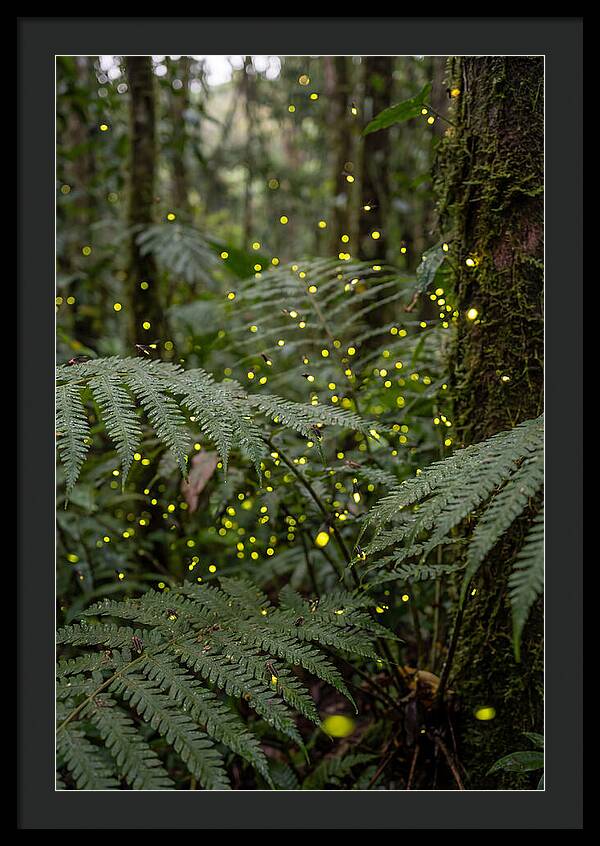 Summer Firefly Glow