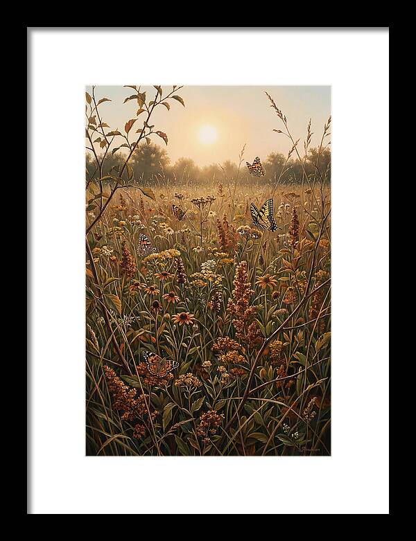 Summer Flower Meadow With Butterflies