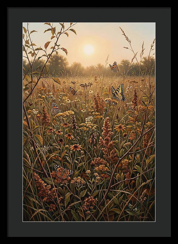 Summer Flower Meadow With Butterflies
