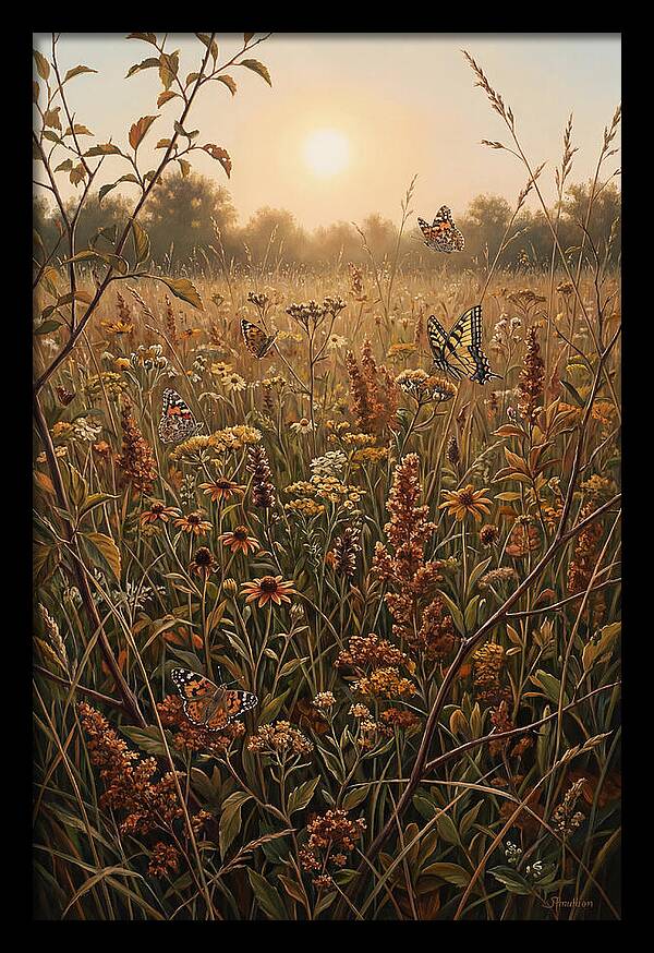 Summer Flower Meadow With Butterflies