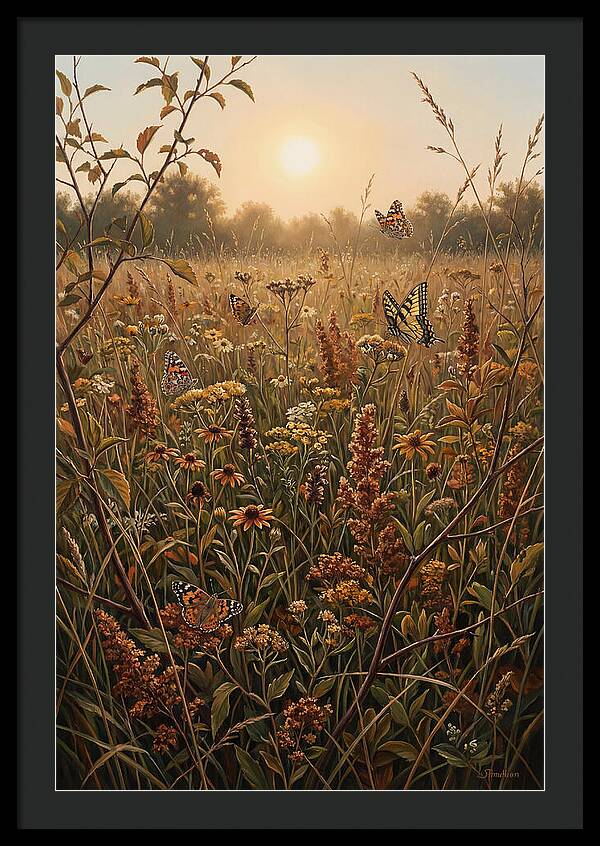 Summer Flower Meadow With Butterflies
