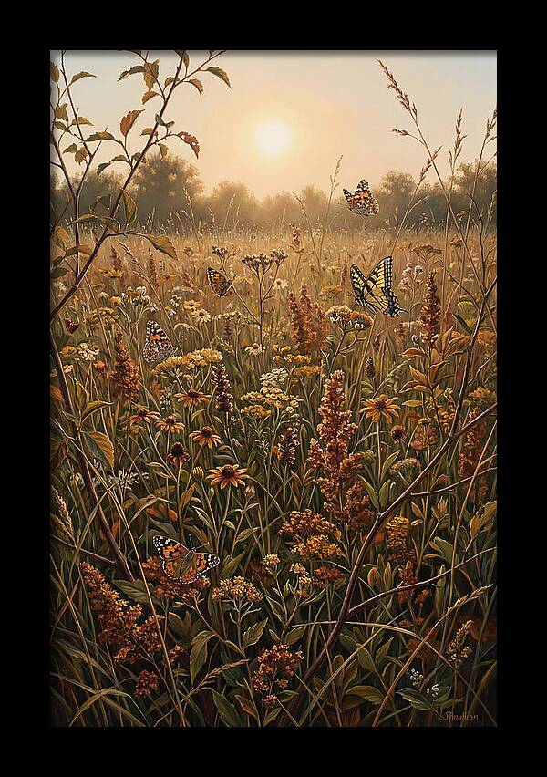 Summer Flower Meadow With Butterflies