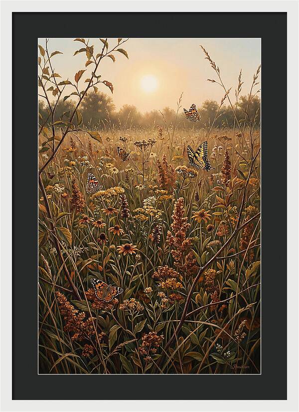 Summer Flower Meadow With Butterflies