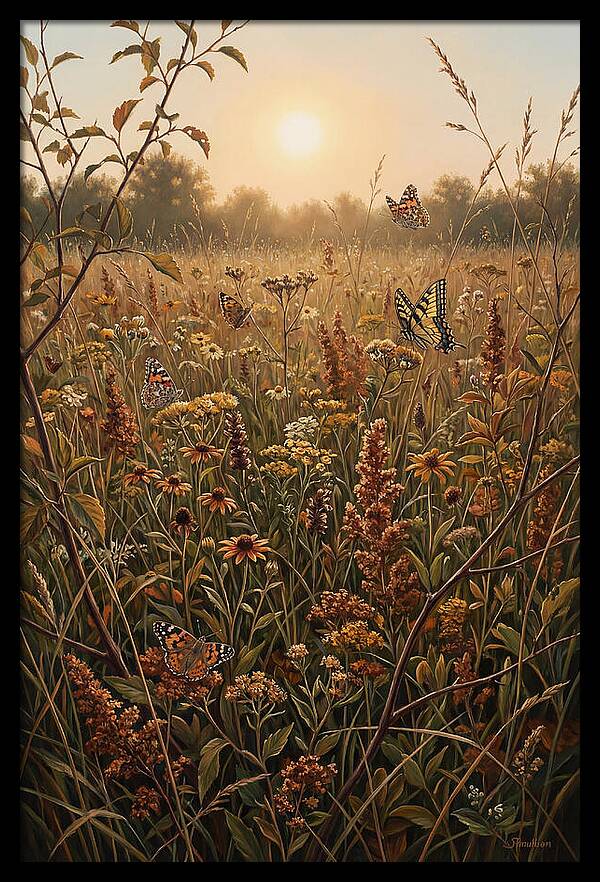 Summer Flower Meadow With Butterflies
