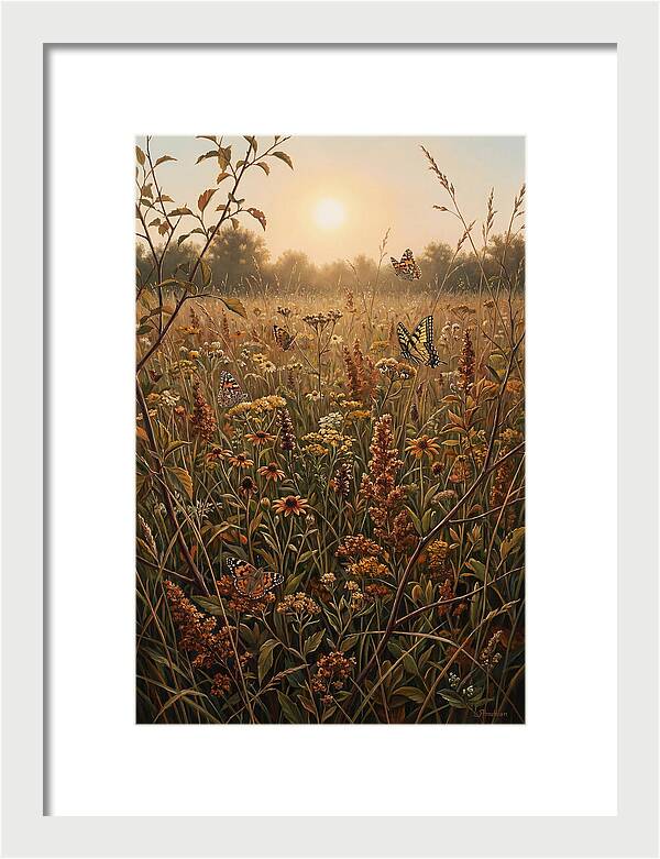 Summer Flower Meadow With Butterflies