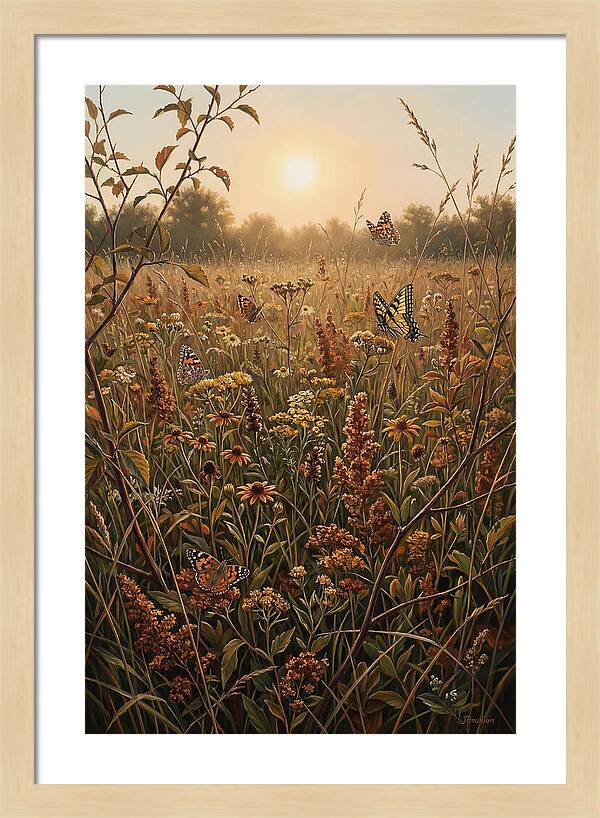 Summer Flower Meadow With Butterflies