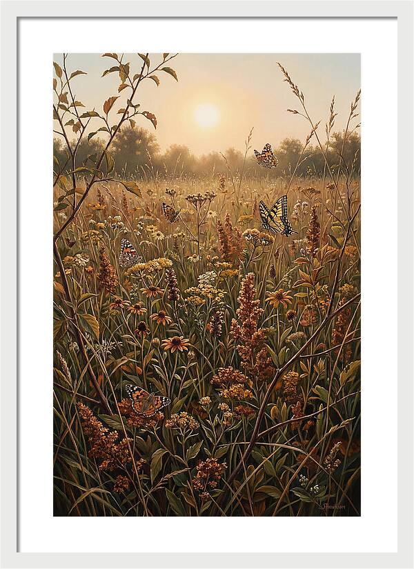 Summer Flower Meadow With Butterflies