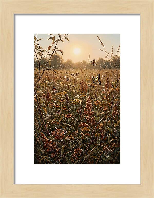 Summer Flower Meadow With Butterflies