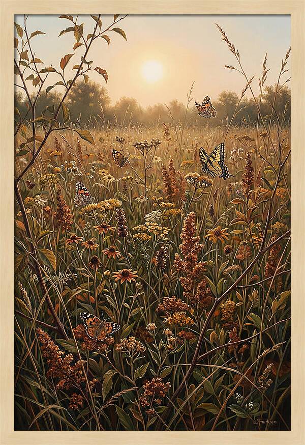 Summer Flower Meadow With Butterflies
