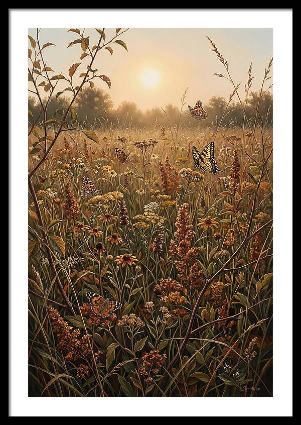 Summer Flower Meadow With Butterflies