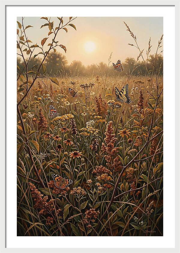 Summer Flower Meadow With Butterflies