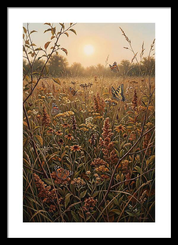 Summer Flower Meadow With Butterflies