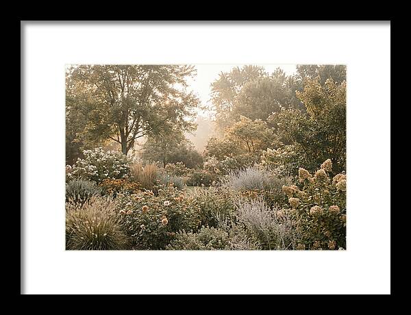 Summer Garden In Full Color