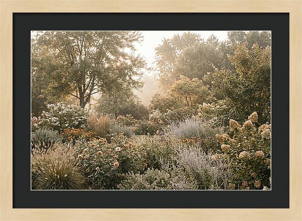 Summer Garden In Full Color