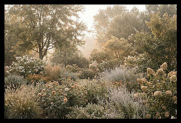 Summer Garden In Full Color