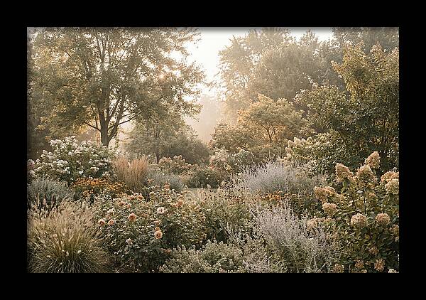 Summer Garden In Full Color