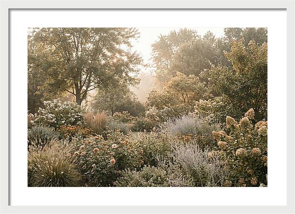 Summer Garden In Full Color