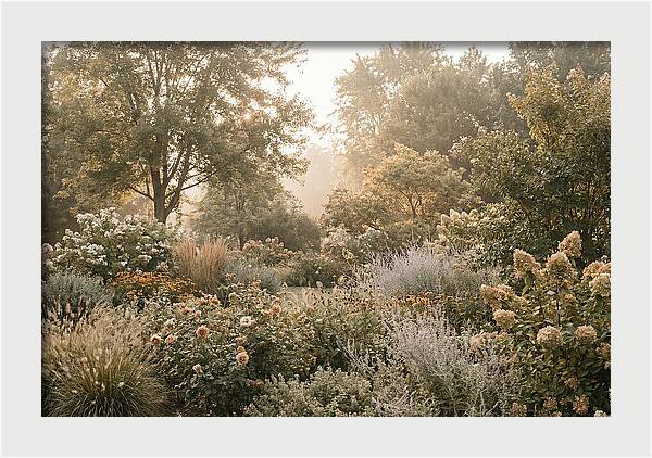 Summer Garden In Full Color