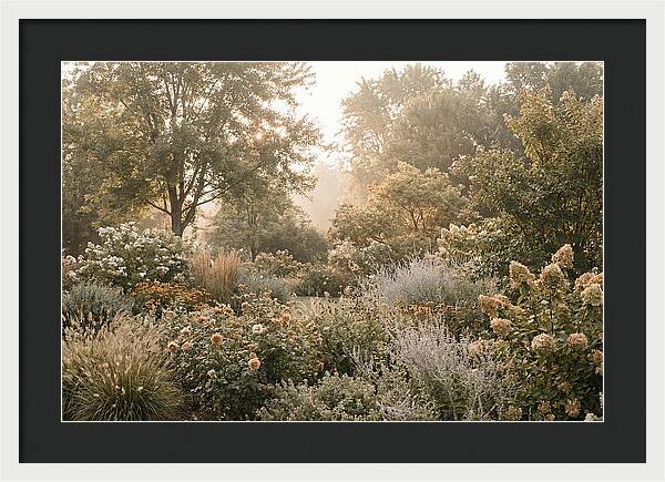 Summer Garden In Full Color