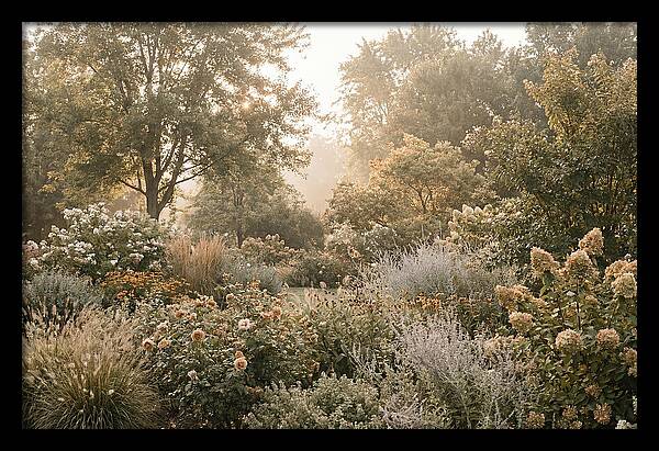 Summer Garden In Full Color