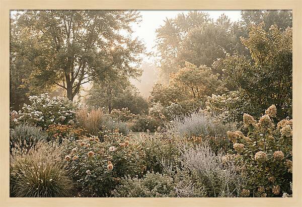 Summer Garden In Full Color