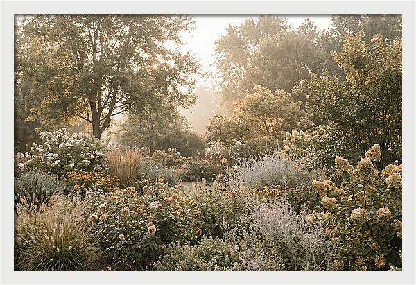 Summer Garden In Full Color