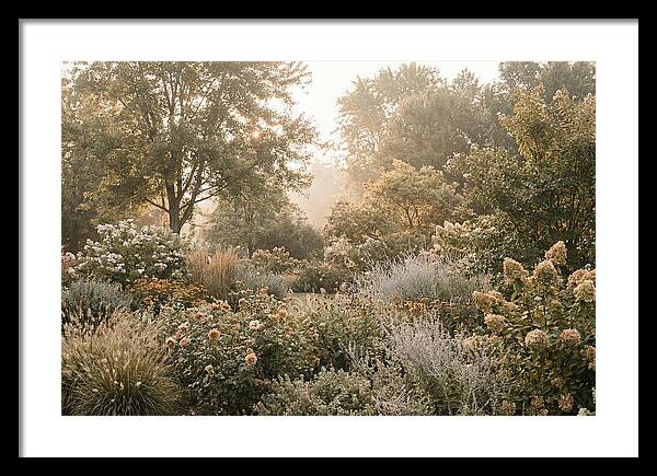 Summer Garden In Full Color
