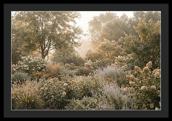 Summer Garden In Full Color