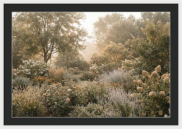 Summer Garden In Full Color