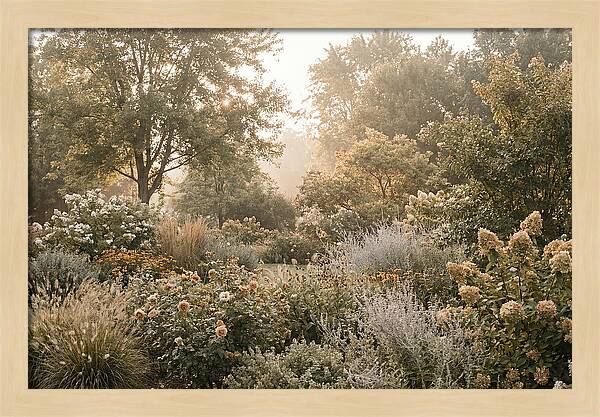 Summer Garden In Full Color