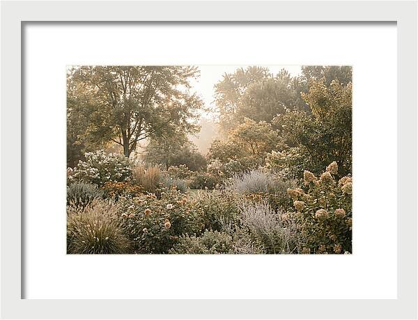 Summer Garden In Full Color
