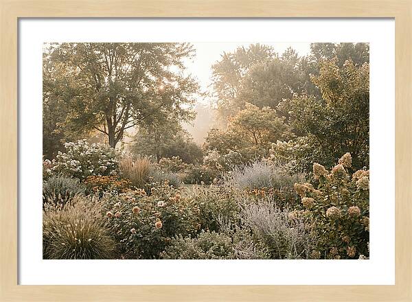 Summer Garden In Full Color
