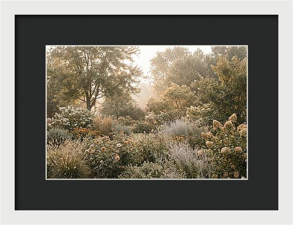 Summer Garden In Full Color