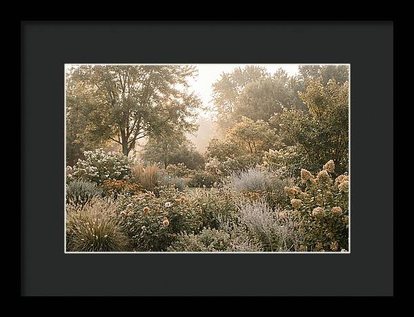 Summer Garden In Full Color