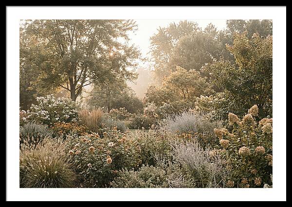Summer Garden In Full Color