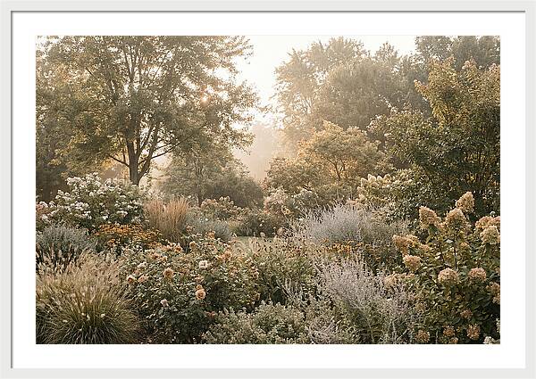 Summer Garden In Full Color