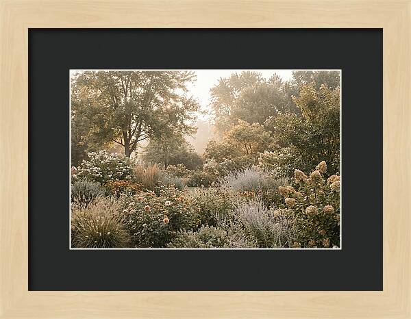 Summer Garden In Full Color