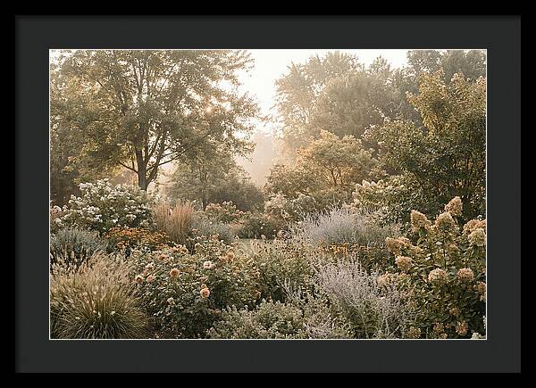 Summer Garden In Full Color