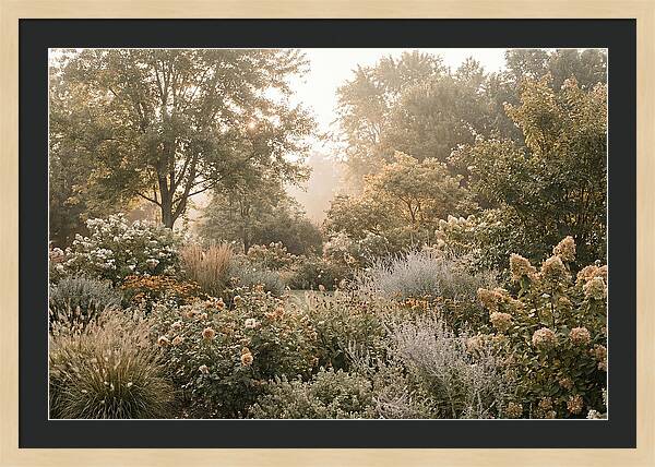 Summer Garden In Full Color