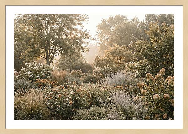 Summer Garden In Full Color