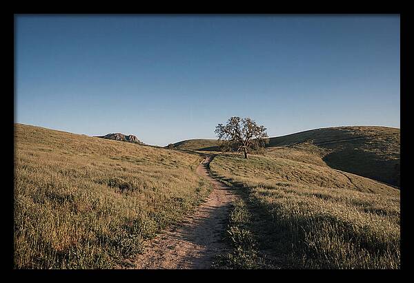 Summer Golden Hour Serenity