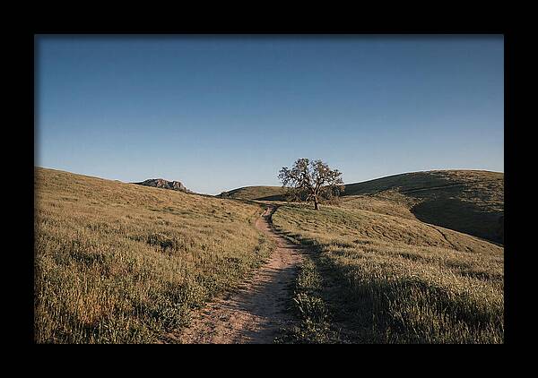 Summer Golden Hour Serenity