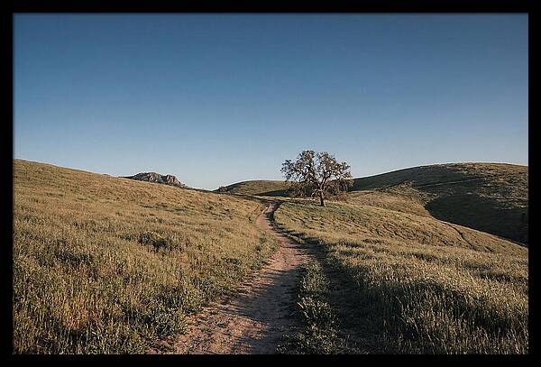 Summer Golden Hour Serenity