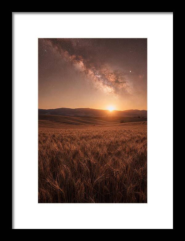 Summer Milky Way Over Wheat Field