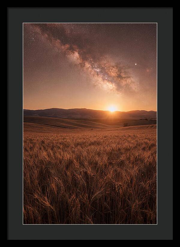 Summer Milky Way Over Wheat Field